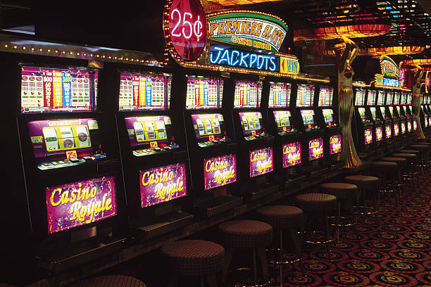 Live dealer Sic Bo Dadu table with betting interface